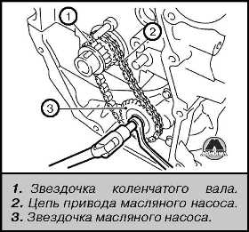 Цепь привода газораспределительного механизма Nissan Juke