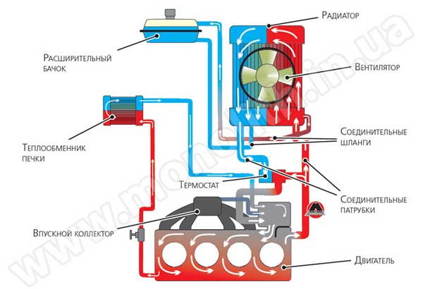 Схема водяного охлаждения двигателя