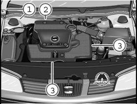 Идентификация автомобиля VW Polo